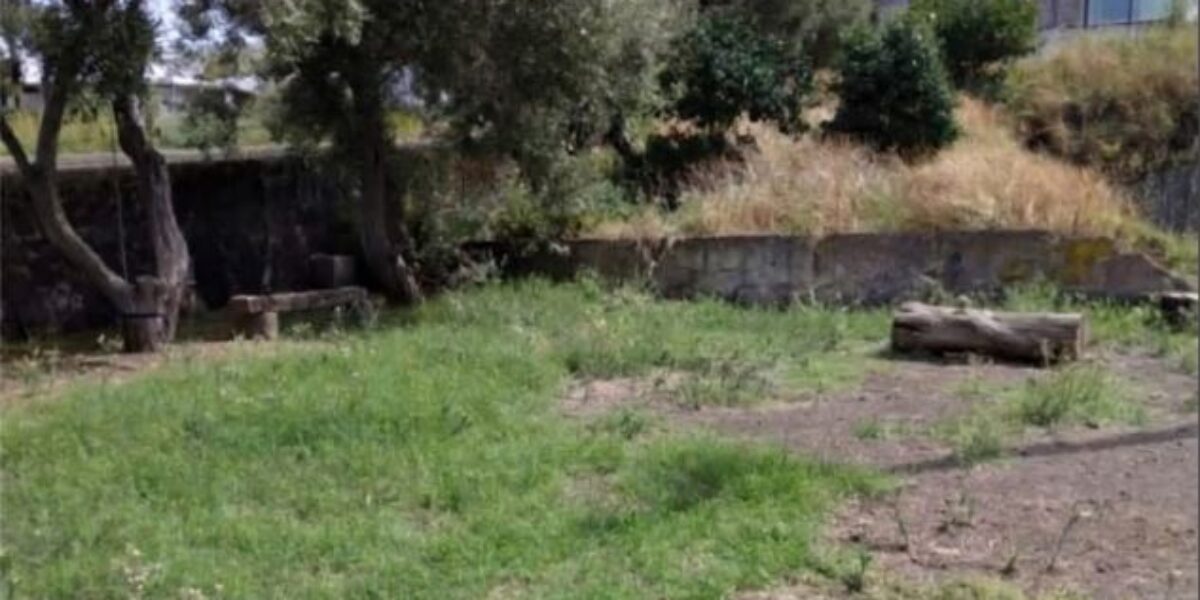 In Stromboli “Il Limoneto” will be rebuilt with the funds received after the fire