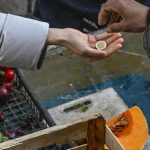 Inflation is rising again: in Italy it stands at 3.3%, in the Eurozone at 3.2%