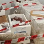Milazzo, 180 kilos of untraceable squid seized: fine of 2 thousand euros