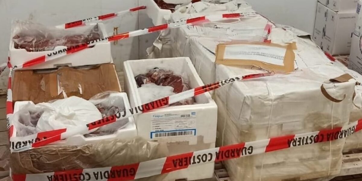 Milazzo, 180 kilos of untraceable squid seized: fine of 2 thousand euros