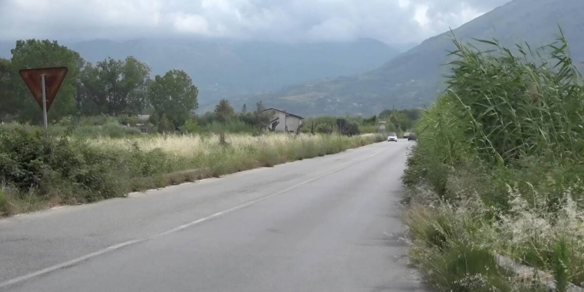 Santa Maria del Cedro, We Moderates report: «High grass and risks on the provincial road between Marcellina and State Road 18»