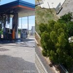 Tragedy in Amendolara, four people lose their lives in a fire in their car in a service area