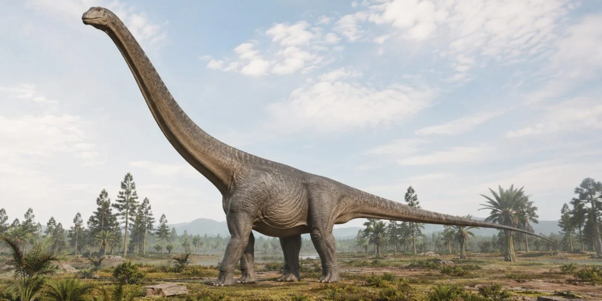 A 20 meter long dinosaur discovered in Thailand, with a neck as high as a three-storey building