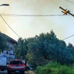 Cosenza, houses threatened by fire in Cozzo del Monaco