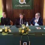 Agriculture, Lollobrigida: Calabria today knows how to create wealth PHOTO