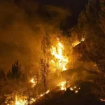 Big fire in Andalusia, over 150 emergency calls: «Maybe caused by an electric cable». Twelve victims
