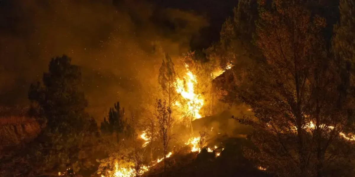 Big fire in Andalusia, over 150 emergency calls: «Maybe caused by an electric cable». Twelve victims