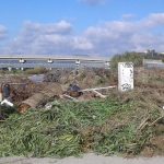 Catanzaro: three projects to revive the area of ​​the mouth of the Corace river