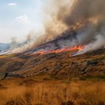 Extreme heat, over 2,700 deaths between May and June in England and Wales