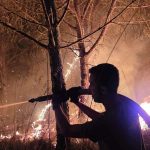 Fire emergency in the Vibonese area, interventions in eight municipalities. Critical situation in Drapia PHOTO