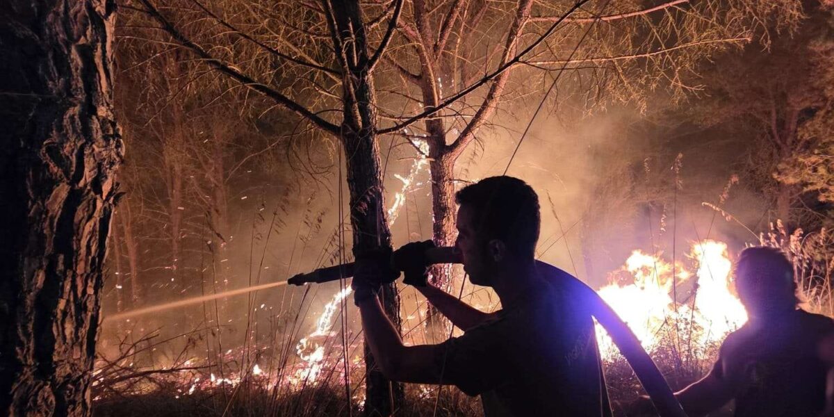 Fire emergency in the Vibonese area, interventions in eight municipalities. Critical situation in Drapia PHOTO