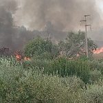 Fires in the Pollino, almost a thousand hectares in smoke: the Loricati pines and the most valuable areas saved