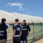 Lamezia Terme, beach occupied to grow onions: an area of ​​26 thousand m2 seized on the coast