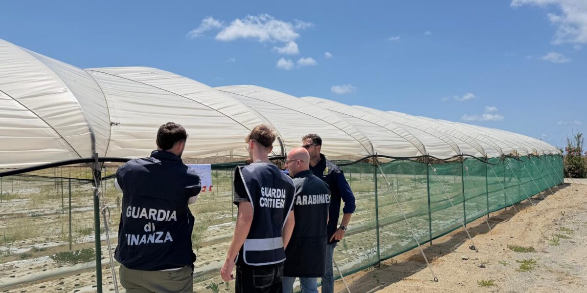 Lamezia Terme, beach occupied to grow onions: an area of ​​26 thousand m2 seized on the coast