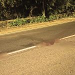 Messina, hunt for the hit-and-run driver who hit two spouses on a motorcycle in Mortelle: useful images are being sought to identify him