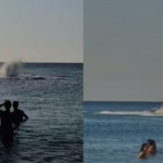 Messina, jet skis and kitesurfing just a few meters from swimmers: that "ruleless" sea that puts the summer at risk