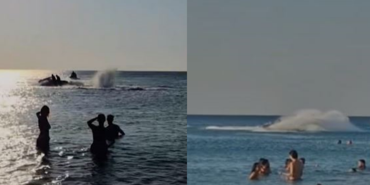 Messina, jet skis and kitesurfing just a few meters from swimmers: that "ruleless" sea that puts the summer at risk