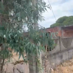 'Ndrangheta in Roccabernarda: confiscation of one million from the Bagnato gang, 90 lands returned to the owners