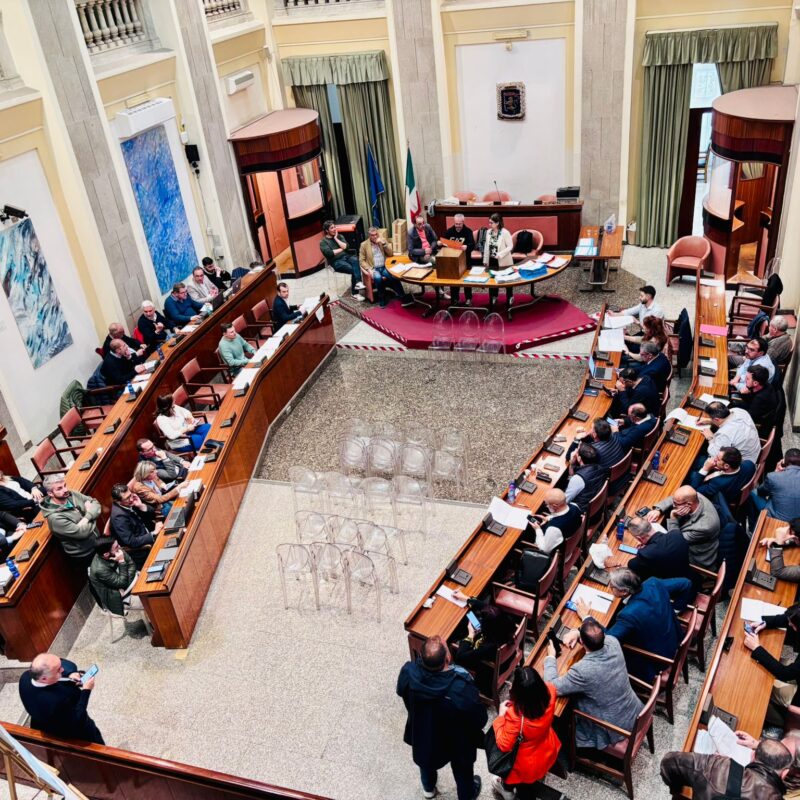 The Metropolitan Council of Messina