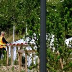 The plane of the parachute students crashes in France, 11 dead. For five of them it was their "baptism"