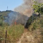 Rometta, huge fire above the purifier: the Forestry on site, waiting for Canadair VIDEO