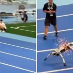 A robot runs 100 meters and beats Bolt's VIDEO record