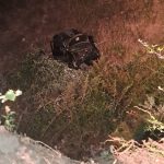 Chiaravalle, the car falls down a 15 meter cliff. Only minor injuries to the driver