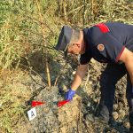Filmed by a drone from the Calabria Region while setting the fire, the perpetrator of the Rende fire has been identified VIDEO