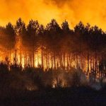 France burns, Gironde devastated: 220 thousand evacuated to the outskirts of Bordeaux