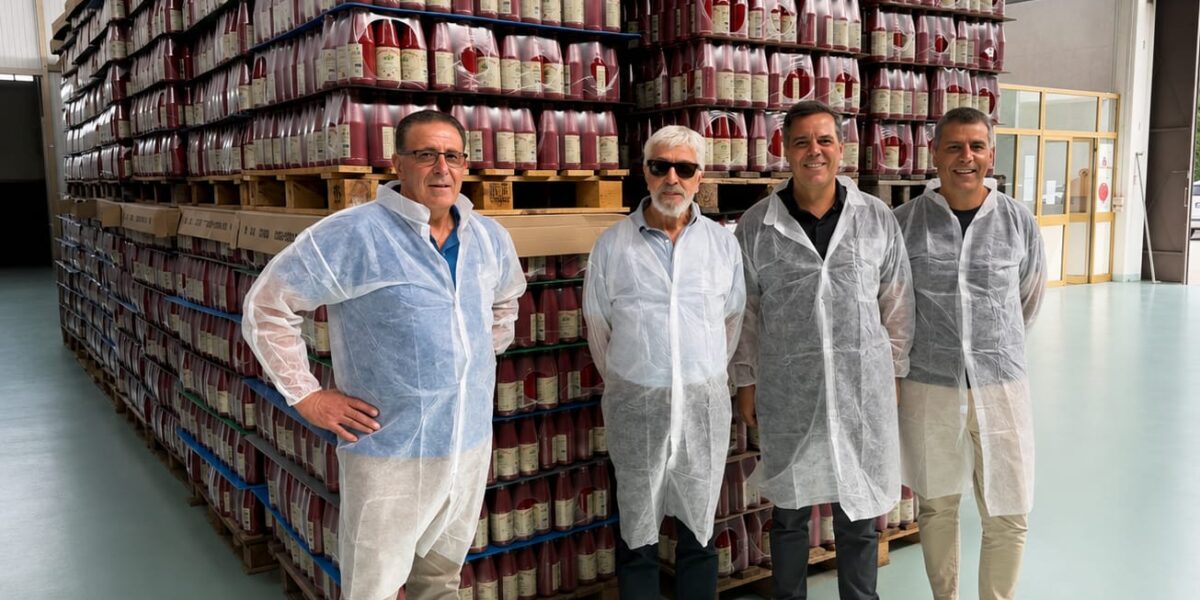 From Calabria to Canada: the memory of preserves and the value of a traveling territory