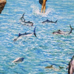 Imagining the Strait to continue living it