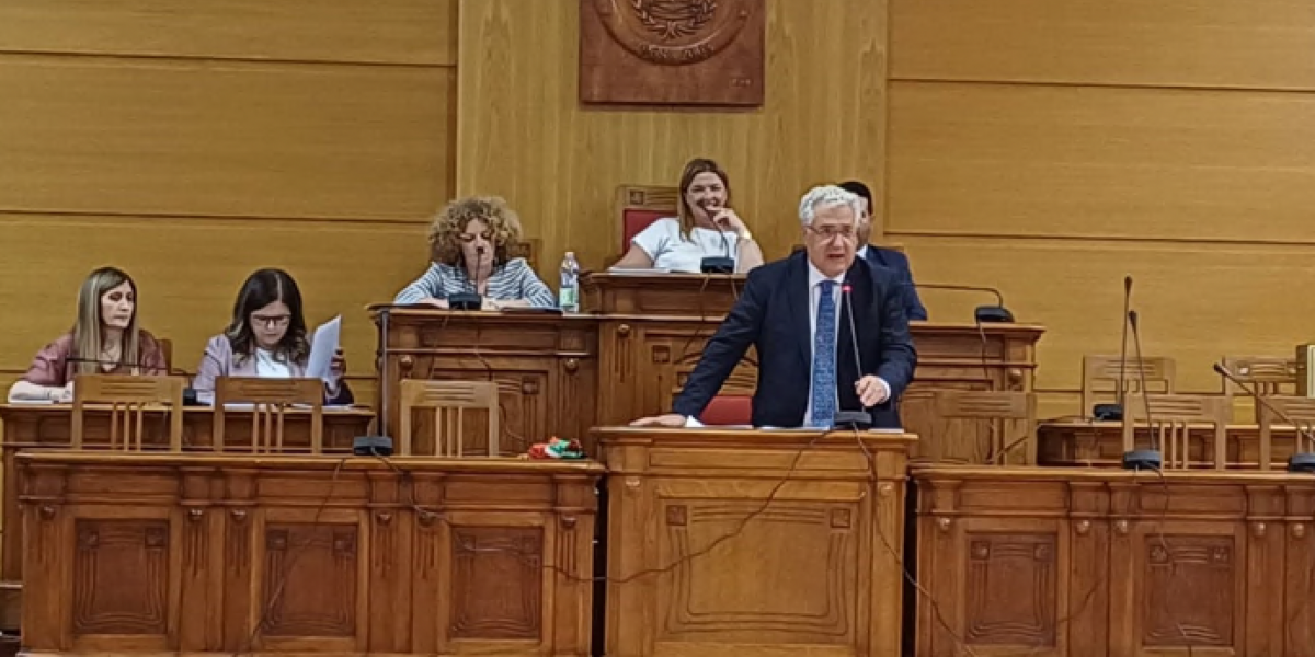 Lamezia, the mayor Murone revokes the vannacciana councilor Donatella Amicarelli