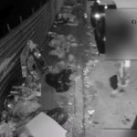 Messina, collects waste for third parties and abandons it on the street: trapped by camera traps VIDEO