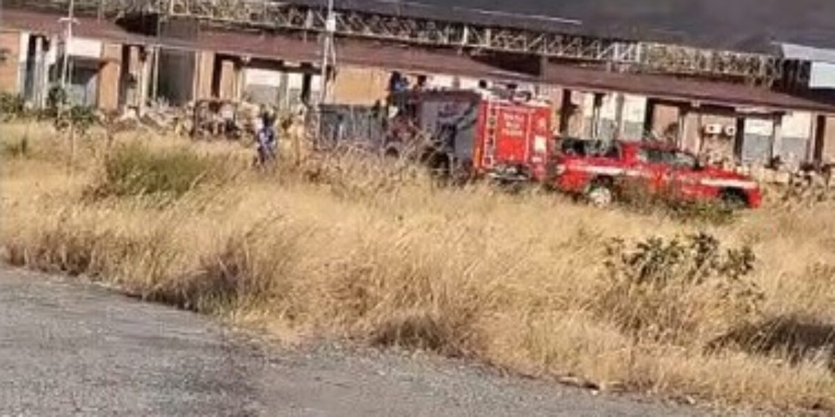 Reggio Calabria: agri-food center in limbo for 14 years between fires and disputes