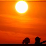 Hot, August with records for temperatures and deaths: here are the numbers