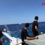 Ferry sank in Northern Cyprus, at least 8 dead: captain and crew arrested