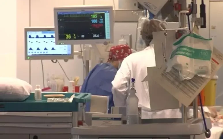 Urgently from Cosenza to Milan for in utero surgery, the twins born in July were discharged