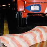Castrovillari, Bergamini case: notice of conclusion of investigations notified to a 65-year-old for complicity in the 1989 murder