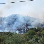 Cirò, more fire on the Mancuso hills: hundreds of hectares of forest in smoke