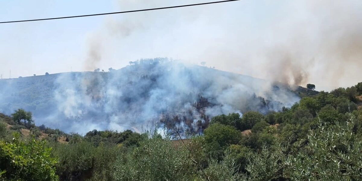 Cirò, more fire on the Mancuso hills: hundreds of hectares of forest in smoke