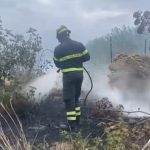 Fires in the Upper Tyrrhenian Sea of ​​Cosenza, the flames devastate the woods in Aieta and Santa Domenica Talao