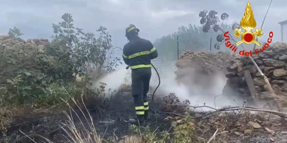Fires in the Upper Tyrrhenian Sea of ​​Cosenza, the flames devastate the woods in Aieta and Santa Domenica Talao