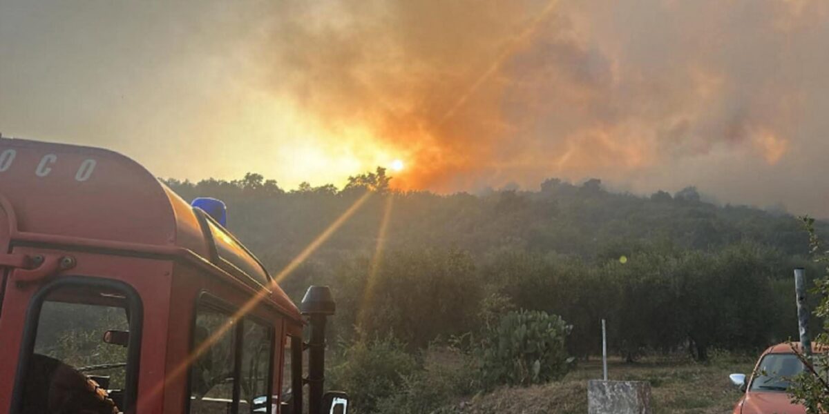 Fires in the province of Messina, Canadair and helicopters in action all day