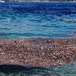 Messina, from the streams to the sea: trails and patches of dirt between Ganzirri and Torre Faro