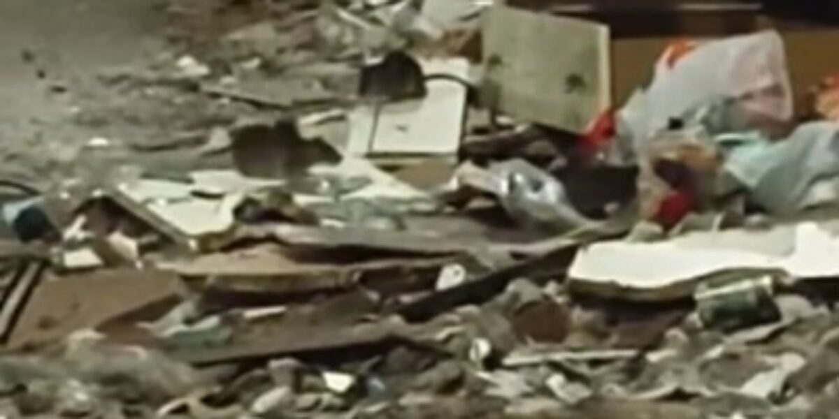Messina, the kingdom of mice has been established in via Summer Seminar VIDEO