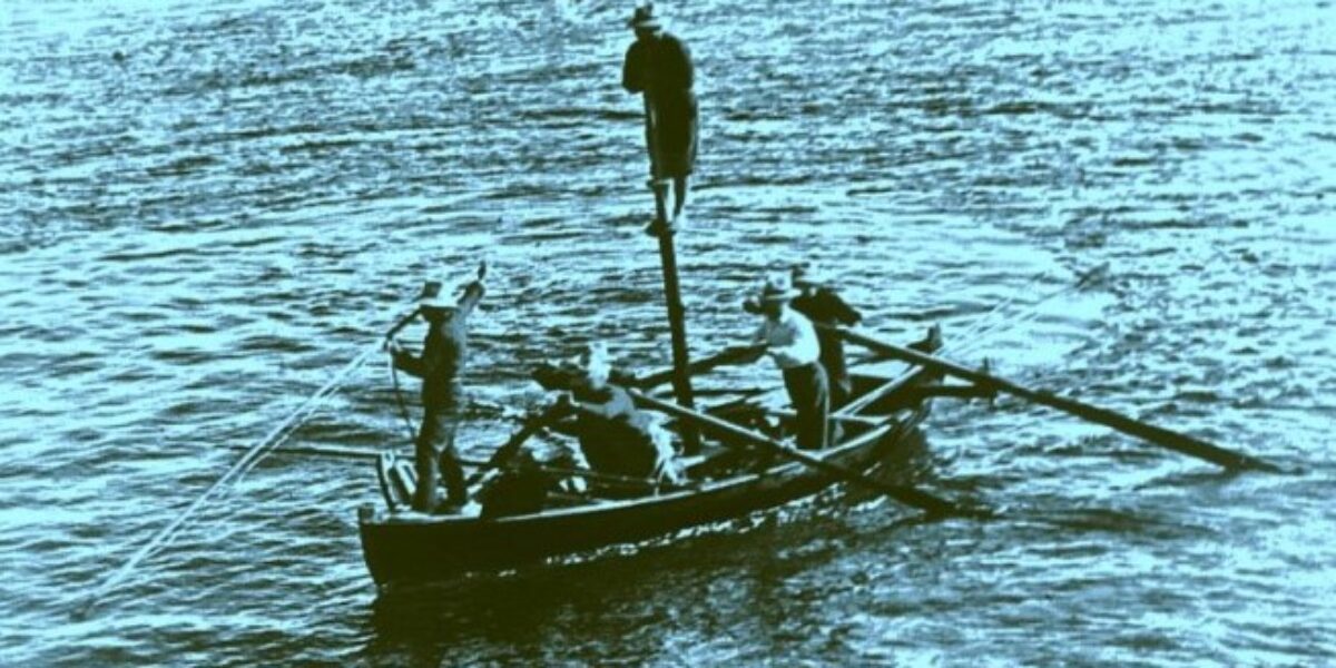 Messina, the third edition of "XIPHIAS - The historic swordfish hunt" today in Ganzirri