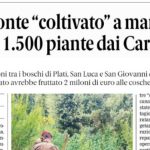 Press review 21-09-2026 Calabria editions