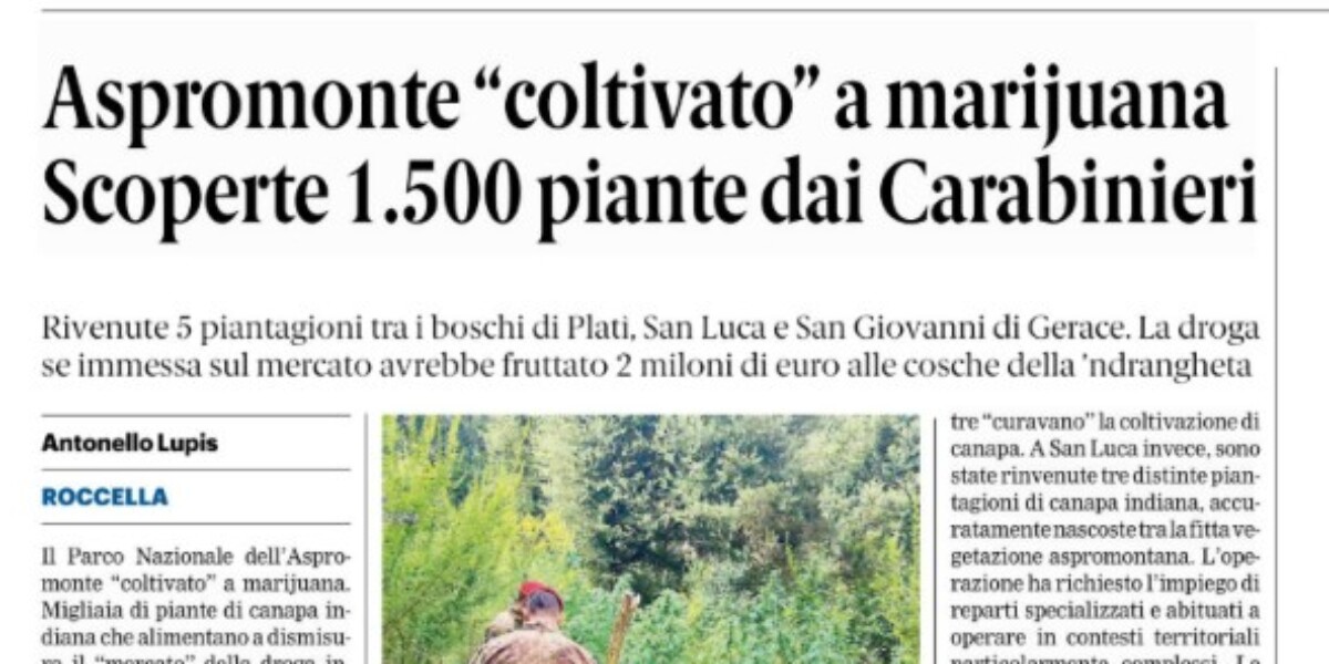 Press review 21-09-2026 Calabria editions