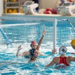 Smile Cosenza renounces Serie A1: it will start again from Serie B a few months after the European title