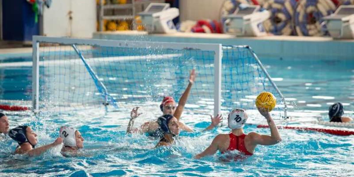 Smile Cosenza renounces Serie A1: it will start again from Serie B a few months after the European title
